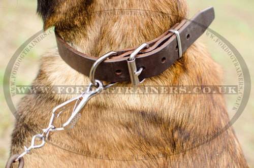 buy dog collar for malinois online